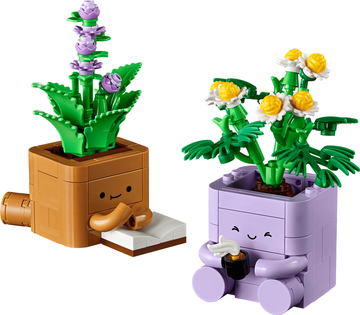 Cozy Plants