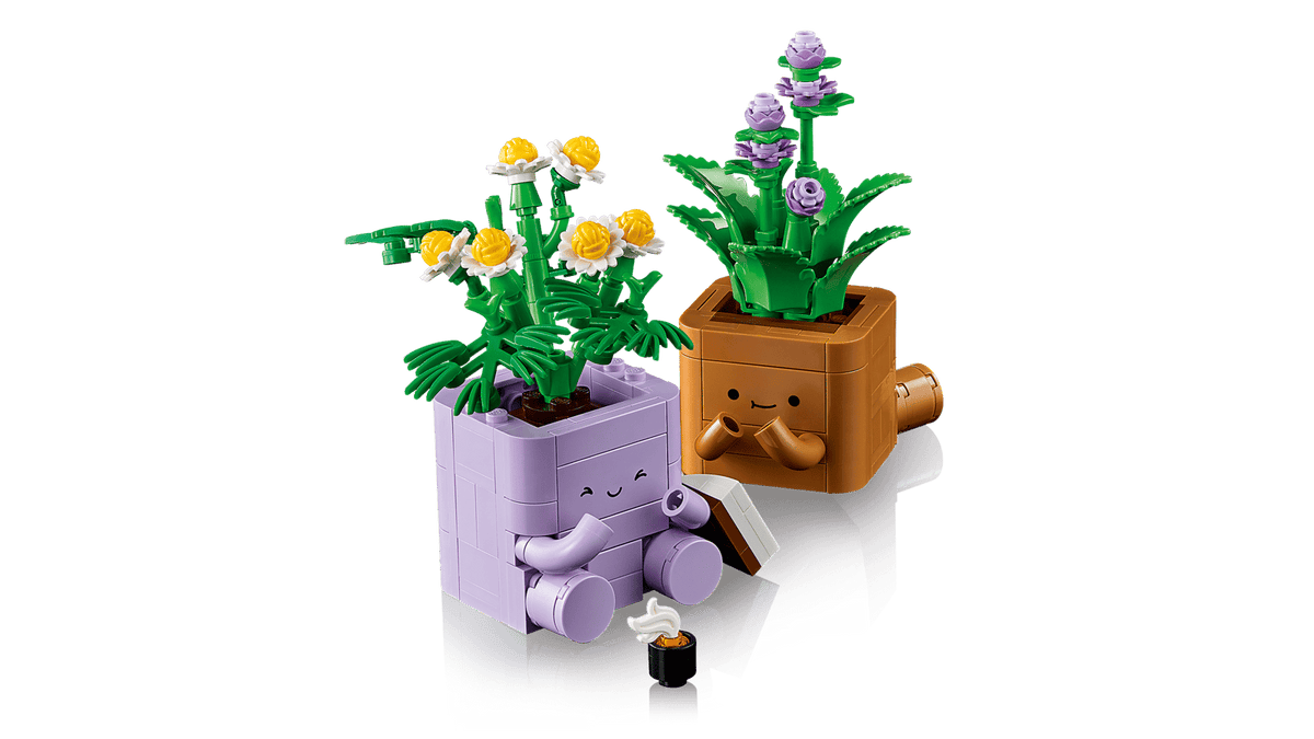 Cozy Plants