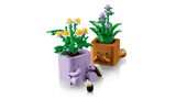Cozy Plants