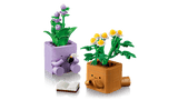 Cozy Plants