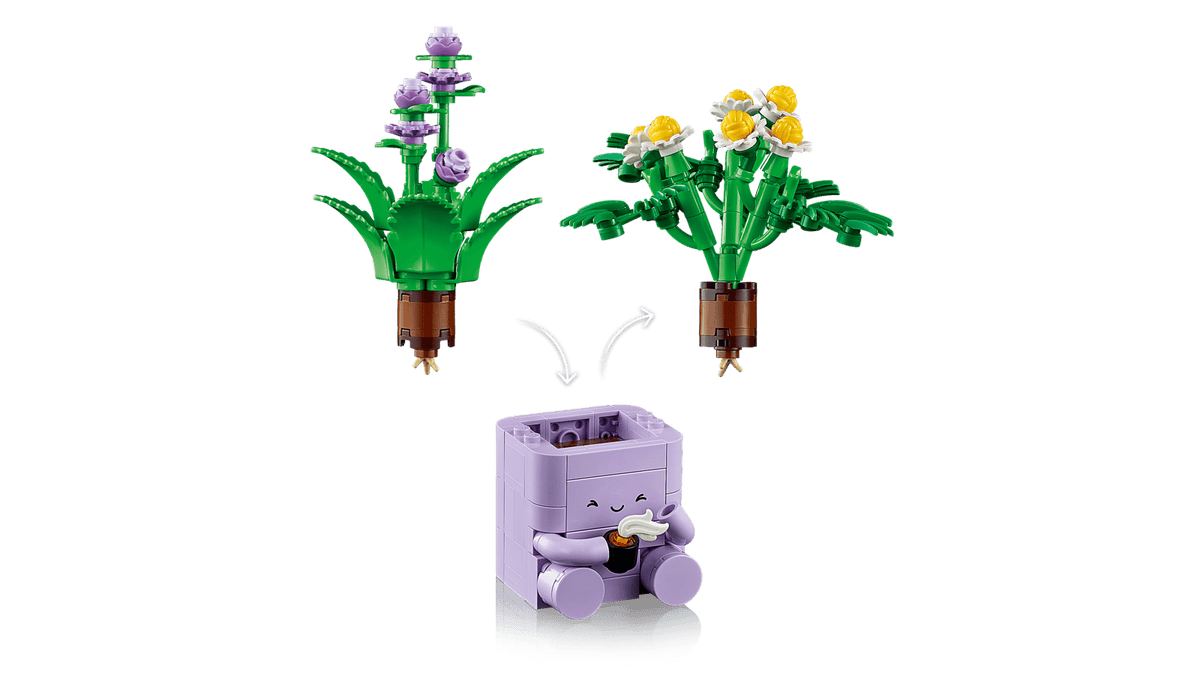 Cozy Plants
