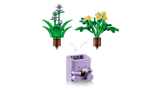 Cozy Plants