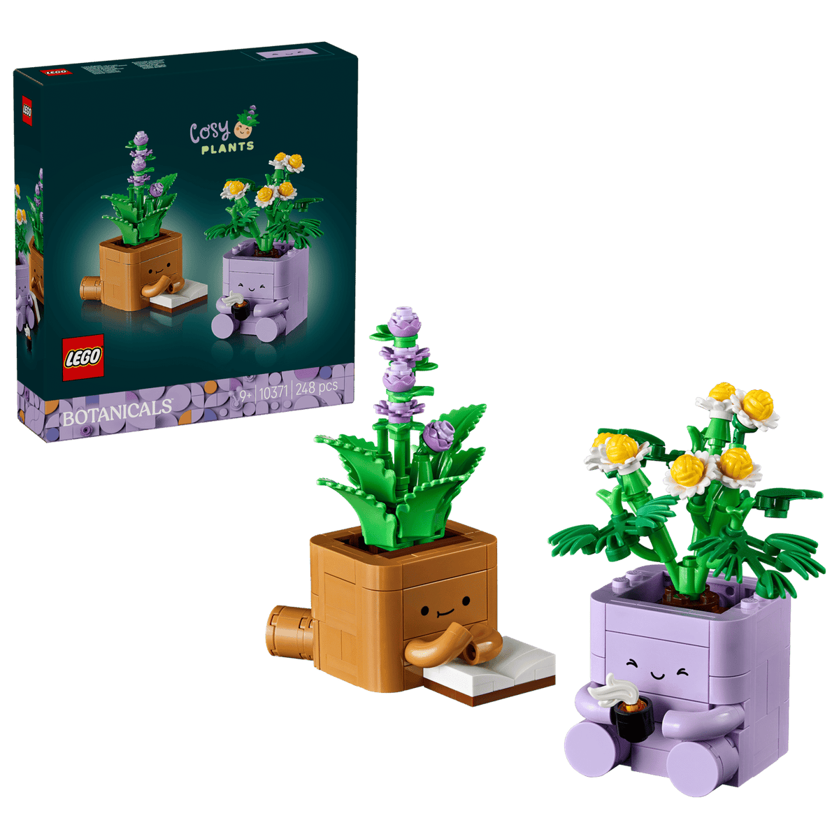 Cozy Plants