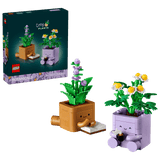 Cozy Plants