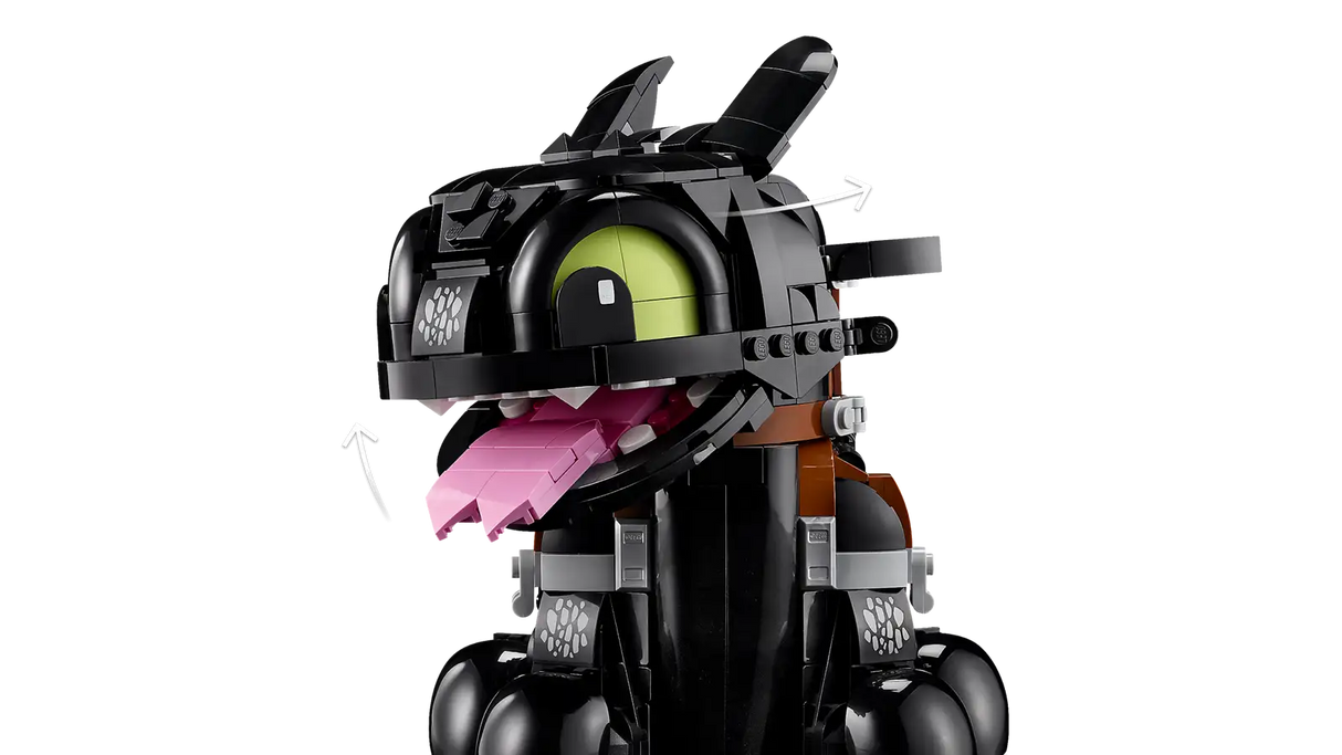 How to Train Your Dragon: Toothless