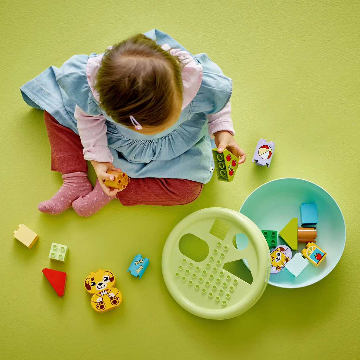 Shape Sorter: Puppy House
