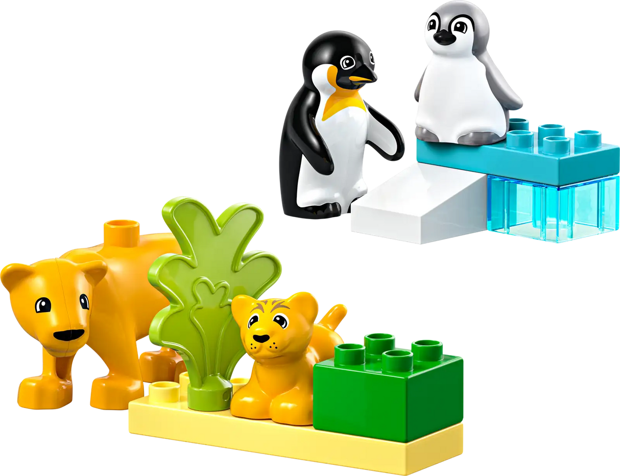 Wild Animal Families: Penguins &amp; Lions