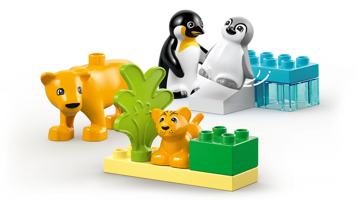 Wild Animal Families: Penguins &amp; Lions