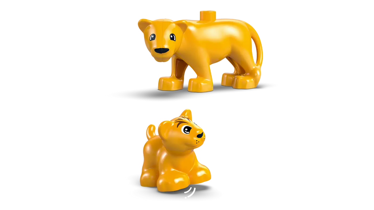 Wild Animal Families: Penguins &amp; Lions