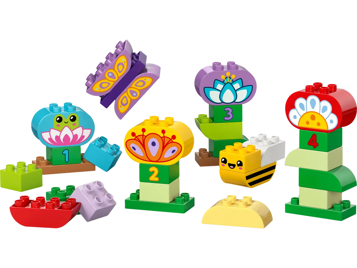 Creative Garden &amp; Flowers