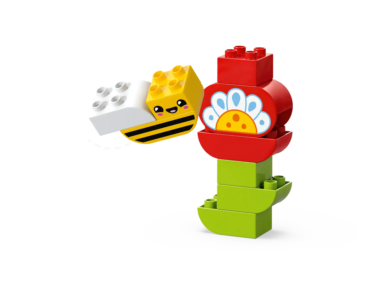 Creative Garden &amp; Flowers