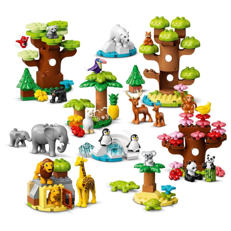 Wild Animals of the World