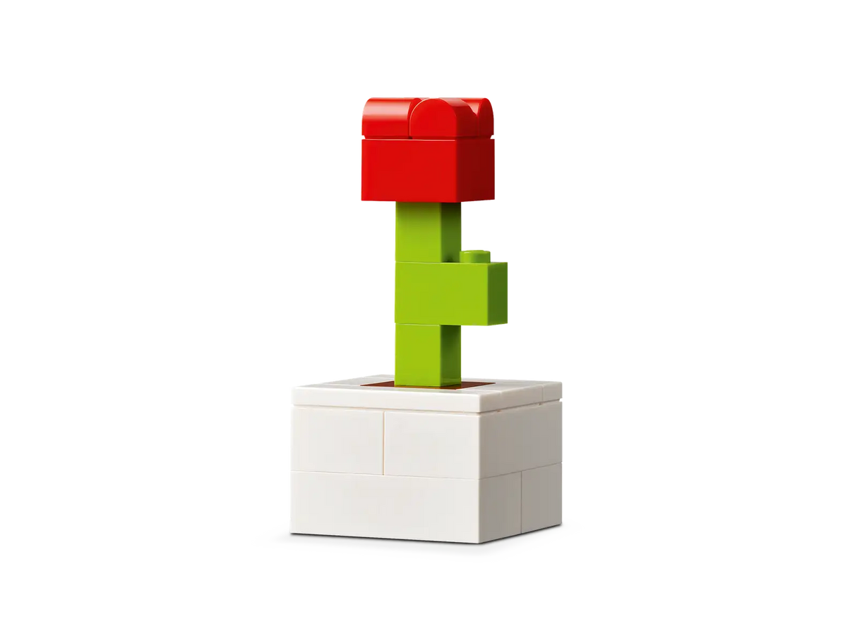 Vibrant Creative Brick Box