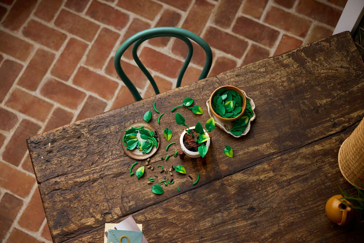 Hanging Golden Pothos
