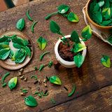 Hanging Golden Pothos