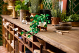 Hanging Golden Pothos