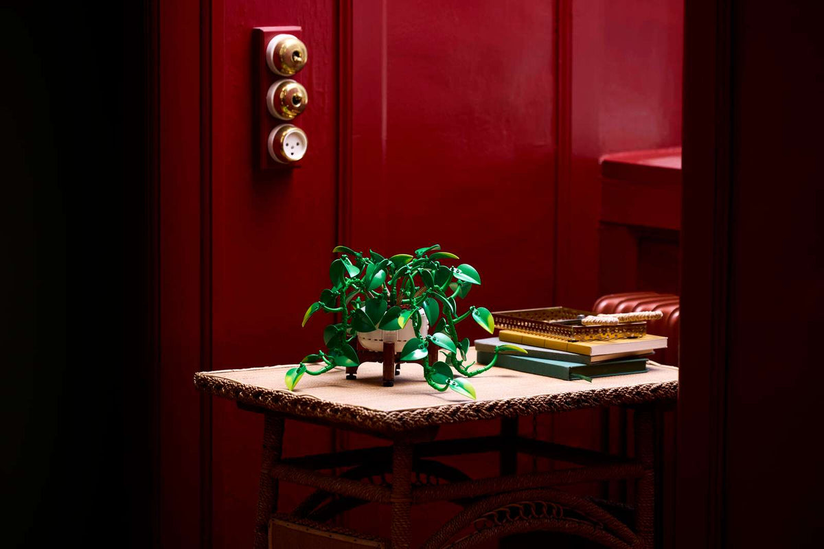Hanging Golden Pothos