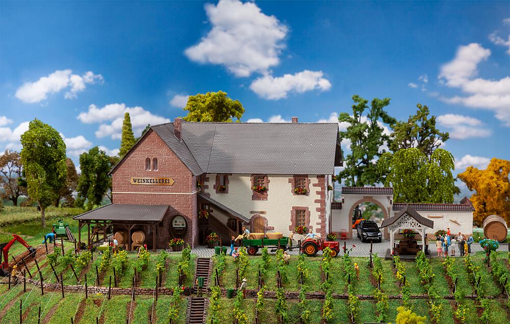 Mountain house