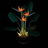 Light My Bricks (LMB) Light kit for LEGO # 10289 Bird of Paradise