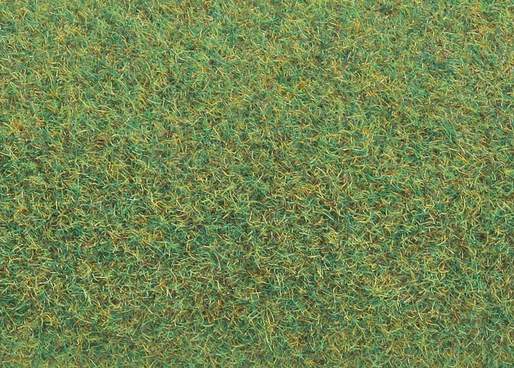 PREMIUM landscape segment,