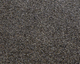 PREMIUM landscape segment,