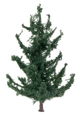 5 PREMIUM blackberry hedges