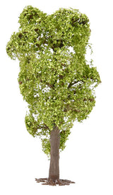 2 PREMIUM ornamental hedges/hornbeam