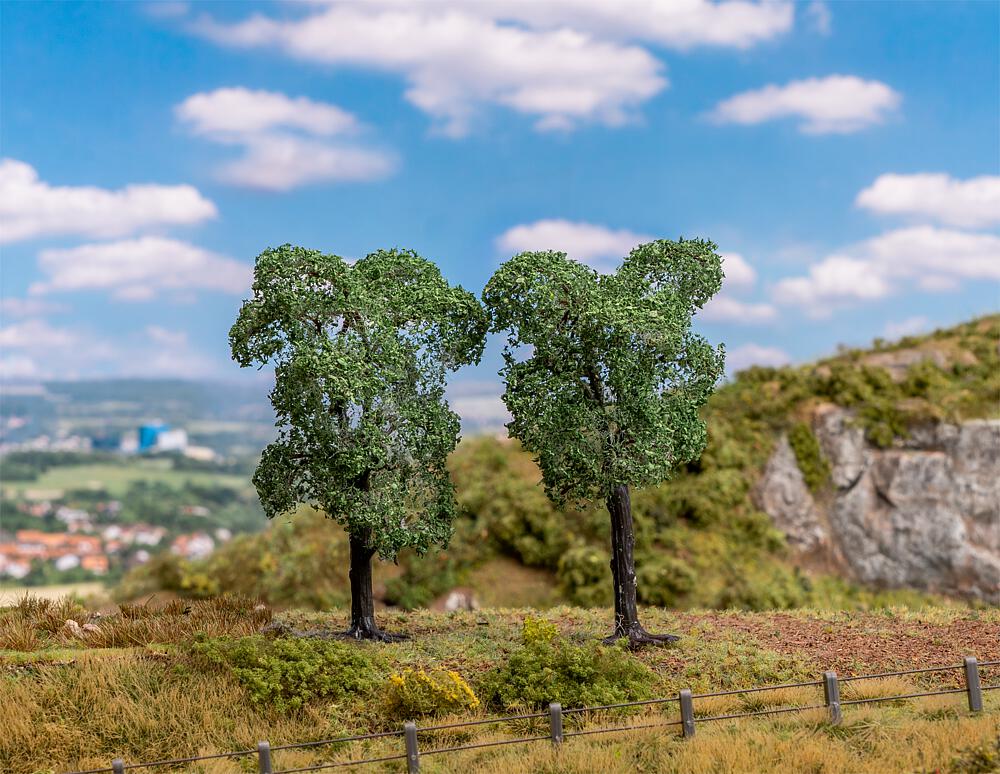 48 Ornamental trees
