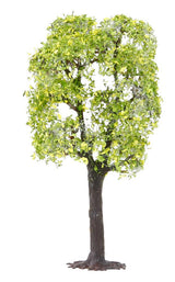 Vines