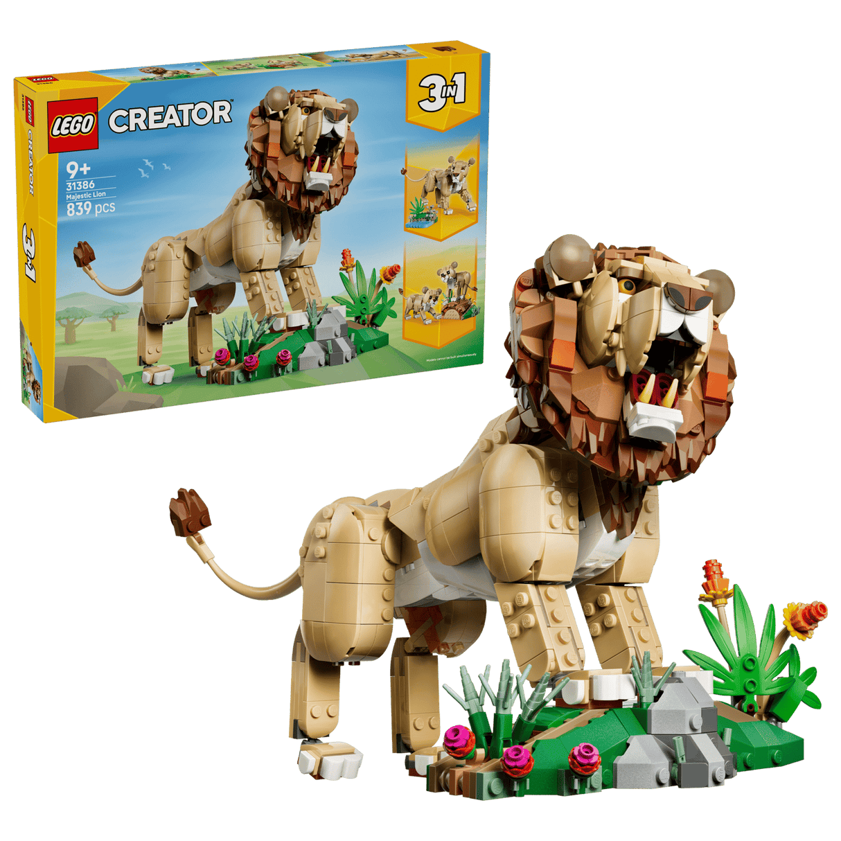 Wild Animals: Majestic Lion