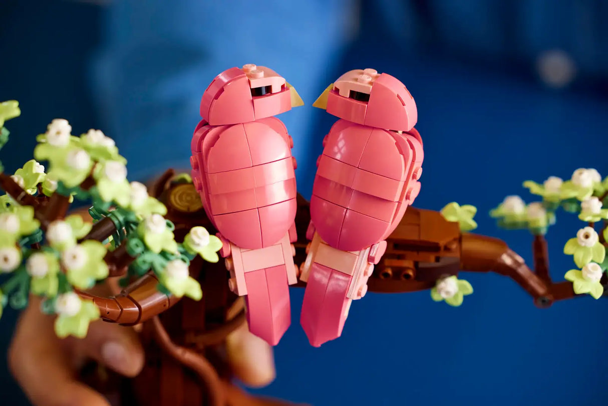 Love Birds