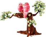 Love Birds