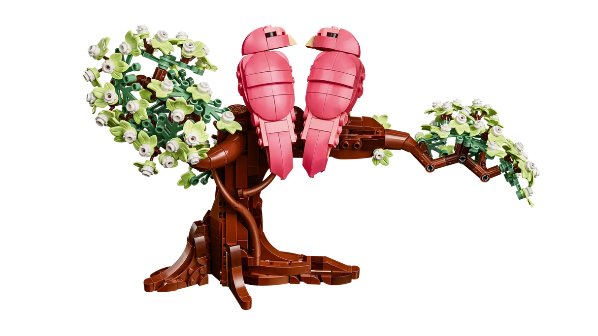 Love Birds