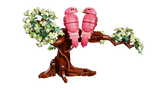 Love Birds