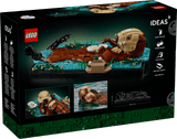 Floating Sea Otters