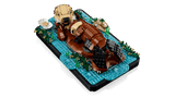 Floating Sea Otters
