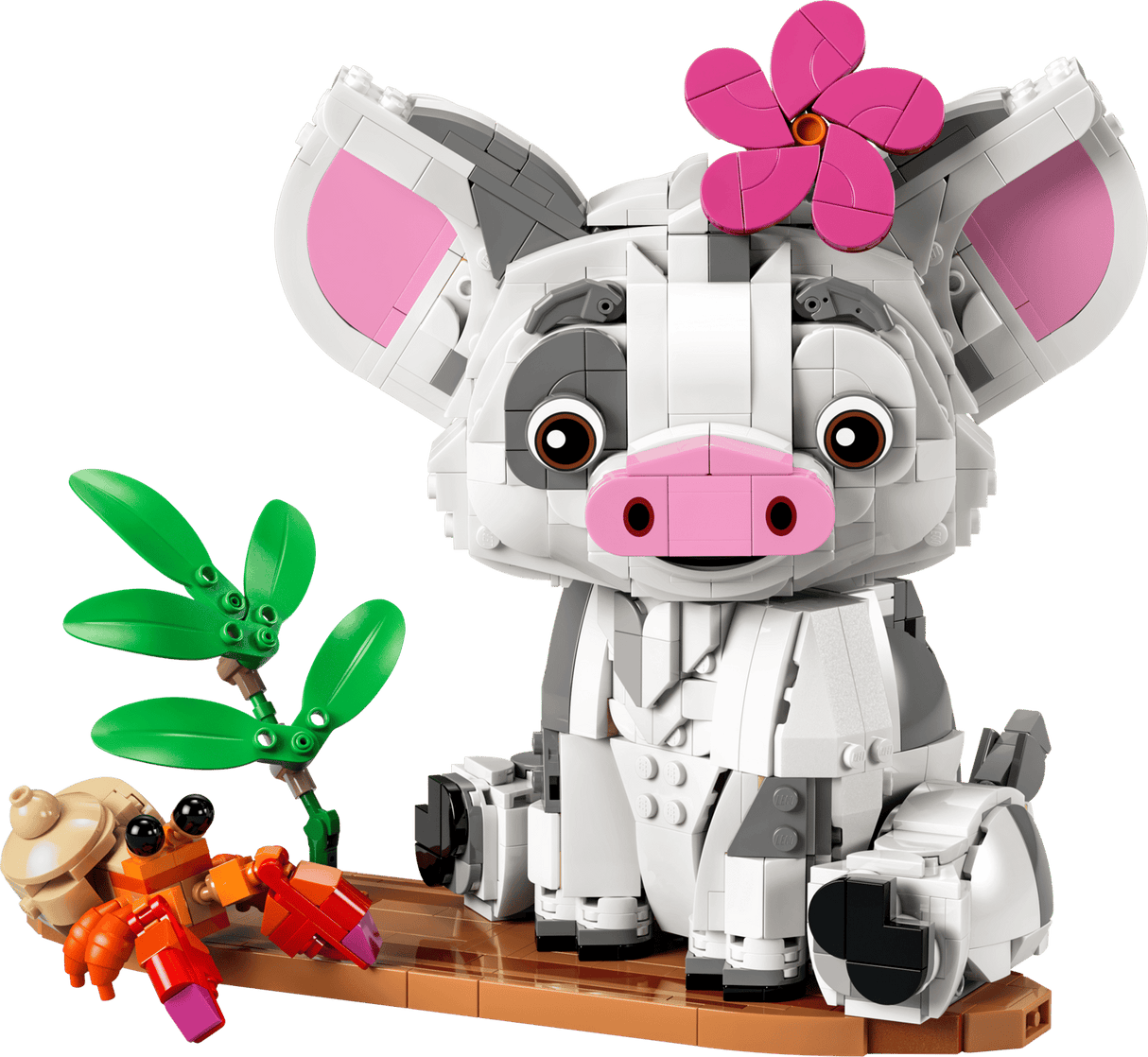 Pua