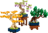 Mini Bonsai Trees