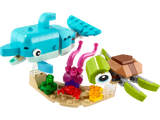 Dolphin and Turtle