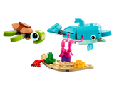 Dolphin and Turtle