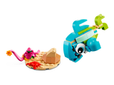 Dolphin and Turtle