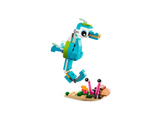 Dolphin and Turtle