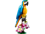 Exotic Parrot