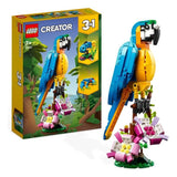 Exotic Parrot