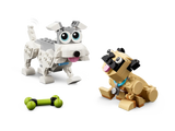 Adorable Dogs