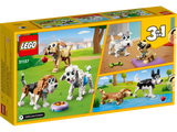 Adorable Dogs