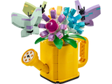 Flowers In Watering Can