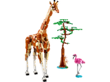 Wild Safari Animals