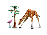 Wild Safari Animals