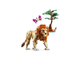 Wild Safari Animals